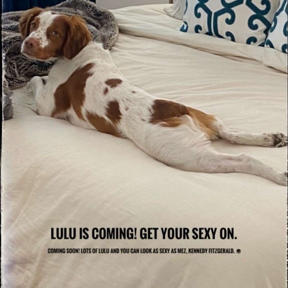 👀 LULU IS HERE! BEAUTIFUL COLORS 💖💜💙🤍🩶🖤🫒